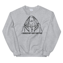 Load image into Gallery viewer, &#39;I should not have said that&#39; unisex sweatshirt
