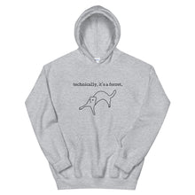 Load image into Gallery viewer, &#39;technically, it&#39;s a ferret&#39; unisex hoodie
